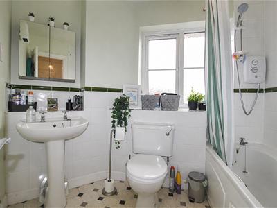 Picture 8